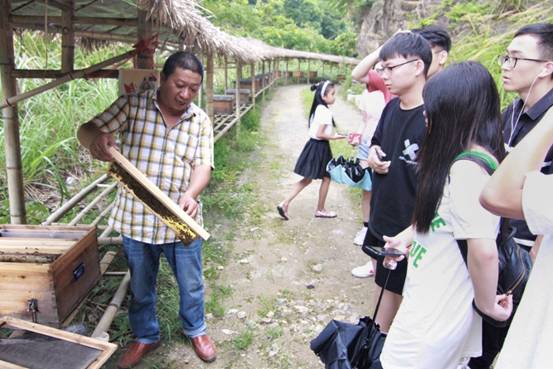 ”善行景宁乡，共圆畲汉梦“电竞博彩
景宁梦之队-实地调研当地养蜂业